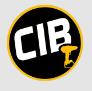 CIB Partners logo
